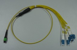 MTP Patch Cord
