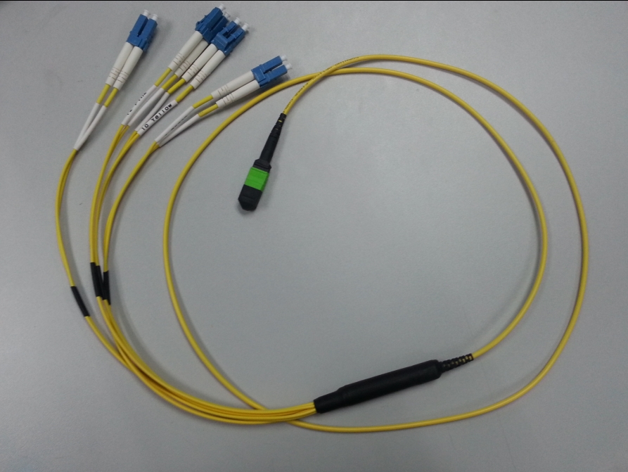MTP-LC 8 core patch cord